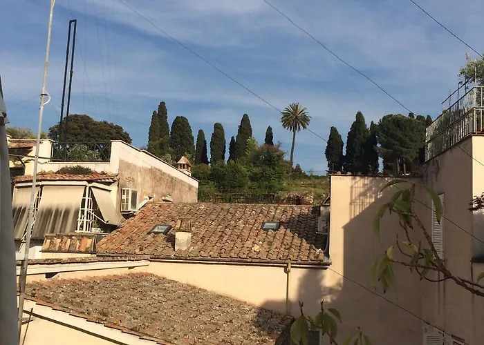 Orange Garden