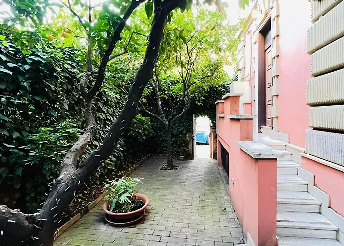 Orange Garden